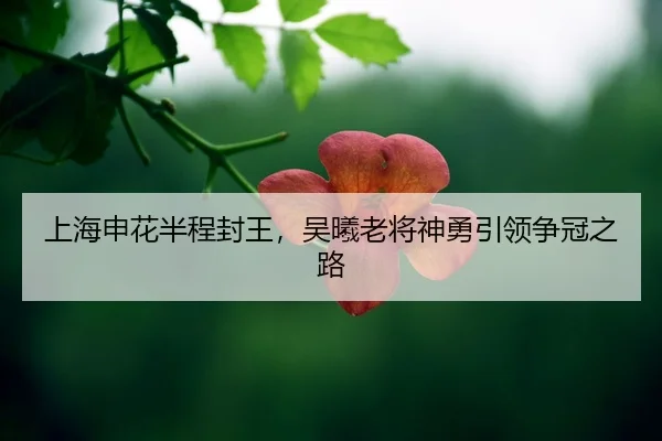 shang-hai-shen-hua-ban-cheng-feng-wang-wu-xi-lao-jiang-shen-yong-yin-ling-zheng-guan-zhi-lu-2-889.jpg