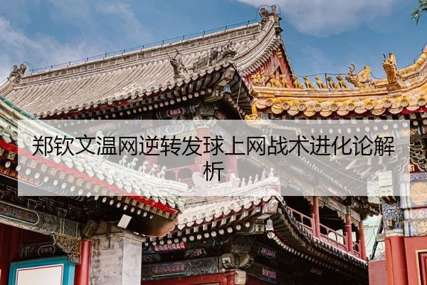 zheng-qin-wen-wen-wang-ni-zhuan-fa-qiu-shang-wang-zhan-shu-jin-hua-lun-jie-xi-3-827.jpg