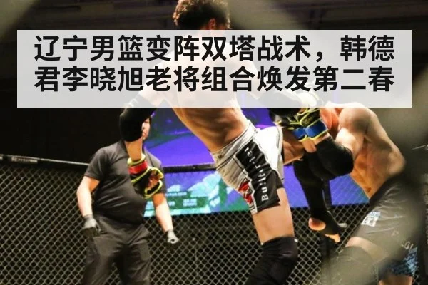 辽宁男篮变阵双塔战术,韩德君李晓旭老将组合焕发第二春